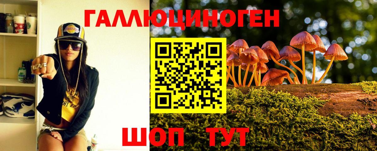 Псилоцибиновые грибы Psilocybe Вязники